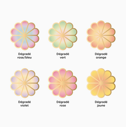 Plexi Wall Flower - Gradient Orange