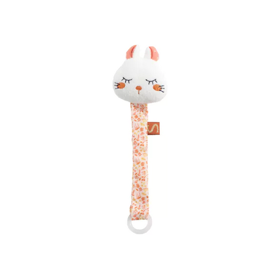 Κλιπ Πιπίλας Bunny