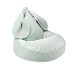 Misty Green Bunny Beanbag