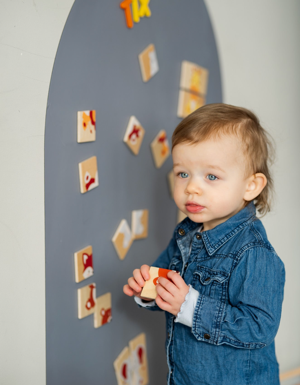 Μαγνητικός Πίνακας - Grey Elephant