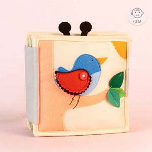 Βιβλίο Magic Bird (2y)