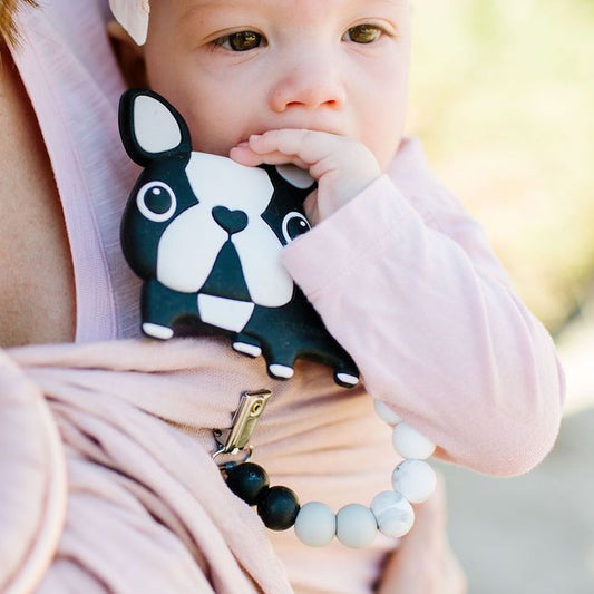 Μασητικό Παιχνίδι Boston Terrier