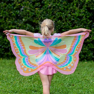 Pink Rainbow Butterfly