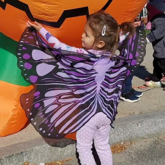 Purple Burst Butterfly